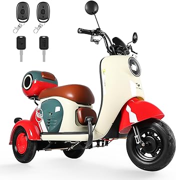 [V1] Motobici Eléctrica 3 Ruedas Honey Whale V1